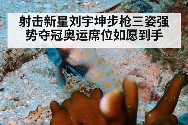 射击新星刘宇坤步枪三姿强势夺冠奥运席位如愿到手